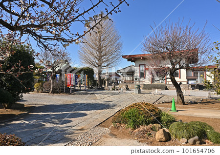 川口漫步:曹洞宗結傳寺境內 川口市東本鄉 川口漫步:曹洞宗結傳寺境內 川口市東本鄉 101654706