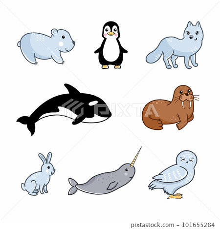 Set of illustrations for children. Animals of Arctic and Antarctica. 101655284