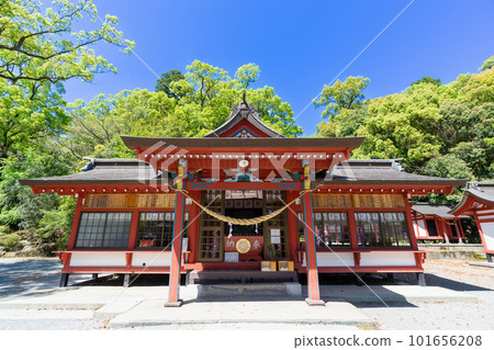 《Kagoshima Prefecture》Large Kusu of fresh green Gamo, Gamo Hachiman Shrine 《Kagoshima Prefecture》Large Kusu of fresh green Gamo, Gamo Hachiman Shrine 101656208