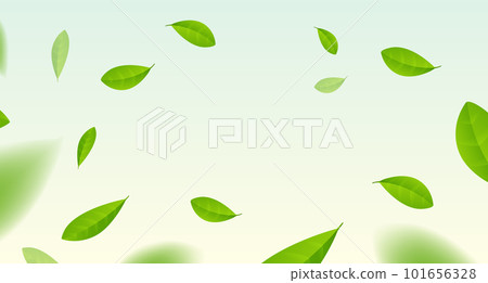 Green tea vector background mint eco illustration. Organic green tea flying leaf fresh concept Green tea vector background mint eco illustration. Organic green tea flying leaf fresh concept 101656328