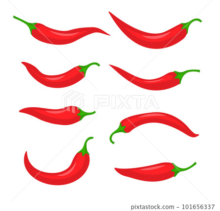 Red chili spicy pepper. Hot chili spice pepper vector icon illustration paprika cooking background 101656337