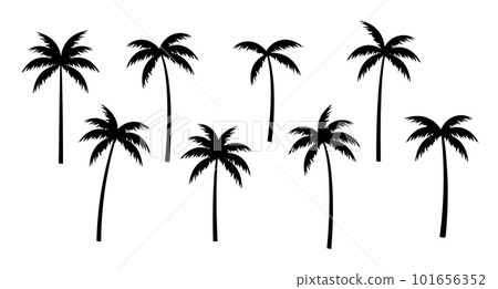 Palm tree vector silhouette coconut icon. Tropic palm tree miami black summer isolated design 101656352