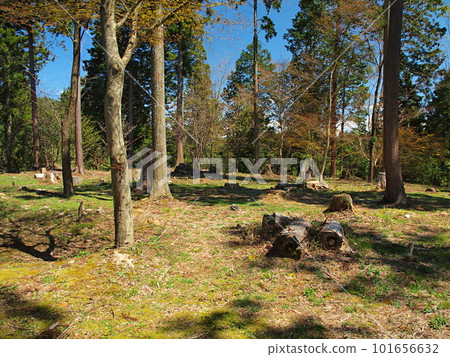 Scenery of Akechi Castle Ruins Scenery of Akechi Castle Ruins 101656632