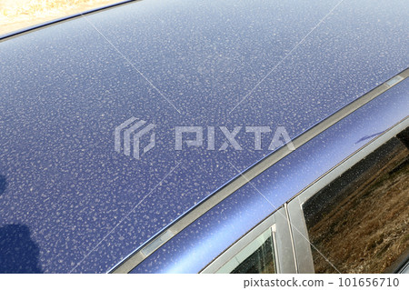 dirty car roof dirty car roof 101656710
