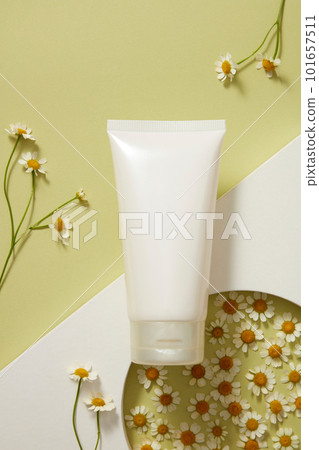 Top view of white empty plastic bottle on white podium and fresh feverfew (tanacetum parthenium) on light green background. Mockup scene for cosmetic of essence natural. Minimal concept. 101657511