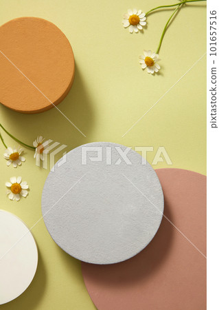 Top view of colorful empty podiums and fresh feverfew on light green background. Scene for advertising with minimal concept. Space for product presentation. Daisy flower, tanacetum parthenium. Top view of colorful empty podiums and fresh feverfew on light green background. Scene for advertising with minimal concept. Space for product presentation. Daisy flower, tanacetum parthenium. 101657516