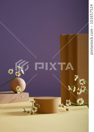 Minimal scene - empty podium, geometric and fresh feverfew (tanacetum parthenium) on purple background. Feverfew has effects on beauty as anti aging. Space for display cosmetic product and text. 101657524