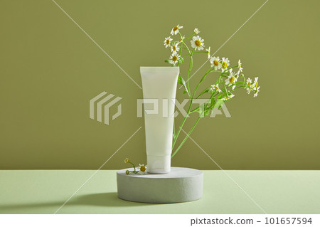 Mockup scene with white empty label tube standing on round podium for cosmetic of Feverfew flowers (Tanacetum parthenium) extract. Front view Mockup scene with white empty label tube standing on round podium for cosmetic of Feverfew flowers (Tanacetum parthenium) extract. Front view 101657594
