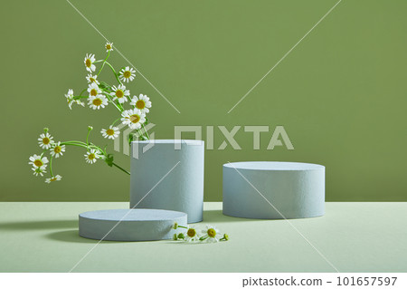 Three empty round and cylinder podium standing with several Feverfew flowers (Tanacetum parthenium). Blank space to show cosmetic product Three empty round and cylinder podium standing with several Feverfew flowers (Tanacetum parthenium). Blank space to show cosmetic product 101657597