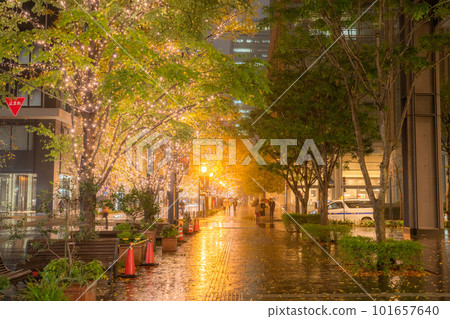 “東京”丸之內冬季燈飾“雨天” “東京”丸之內冬季燈飾“雨天” 101657640