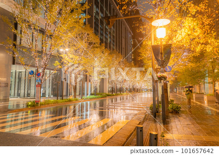 “東京”丸之內冬季燈飾“雨天” 101657642