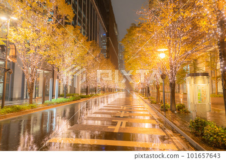 “東京”丸之內冬季燈飾“雨天” 101657643