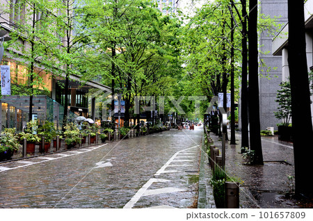 Scenery of Tokyo Marunouchi Nakadori in the rain 101657809