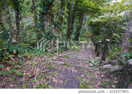 Remote and isolated hidden island Aogashima island in Tokyo, Japan Remote and isolated hidden island Aogashima island in Tokyo, Japan 101657901