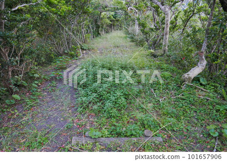 Remote and isolated hidden island Aogashima island in Tokyo, Japan Remote and isolated hidden island Aogashima island in Tokyo, Japan 101657906