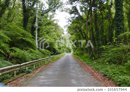 Remote and isolated hidden island Aogashima island in Tokyo, Japan Remote and isolated hidden island Aogashima island in Tokyo, Japan 101657944