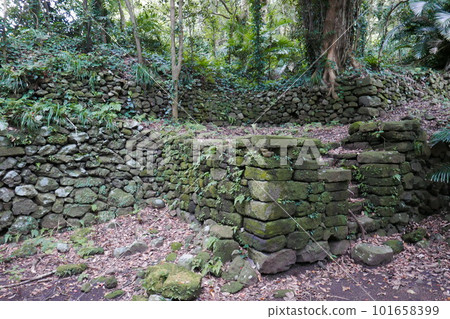 Remote and isolated hidden island Aogashima island in Tokyo, Japan 101658399