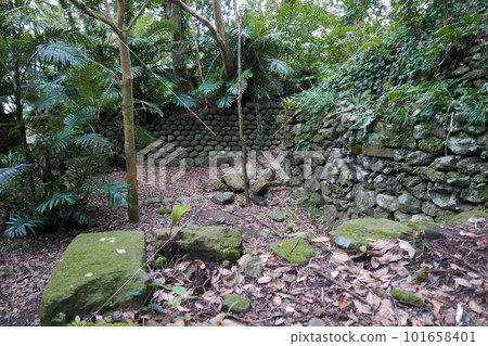 Remote and isolated hidden island Aogashima island in Tokyo, Japan 101658401