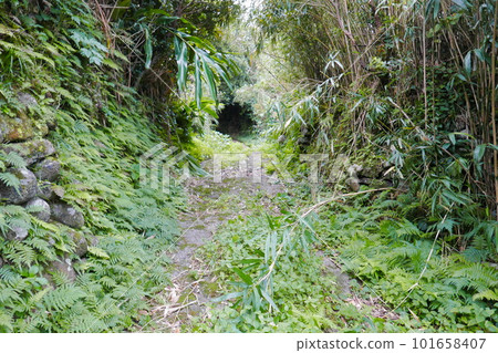 Remote and isolated hidden island Aogashima island in Tokyo, Japan Remote and isolated hidden island Aogashima island in Tokyo, Japan 101658407