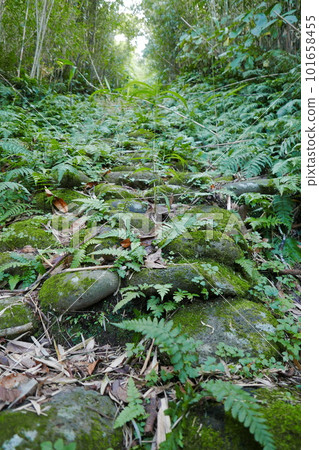 Remote and isolated hidden island Aogashima island in Tokyo, Japan Remote and isolated hidden island Aogashima island in Tokyo, Japan 101658455