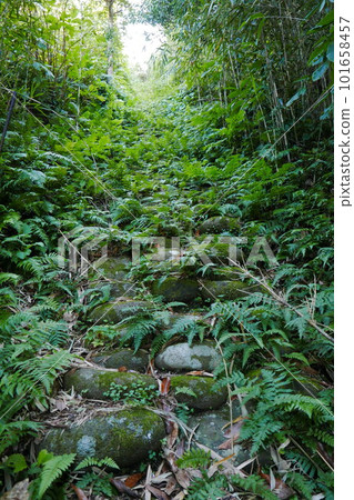 Remote and isolated hidden island Aogashima island in Tokyo, Japan 101658457