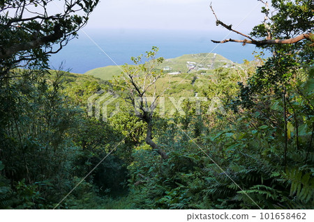 Remote and isolated hidden island Aogashima island in Tokyo, Japan 101658462