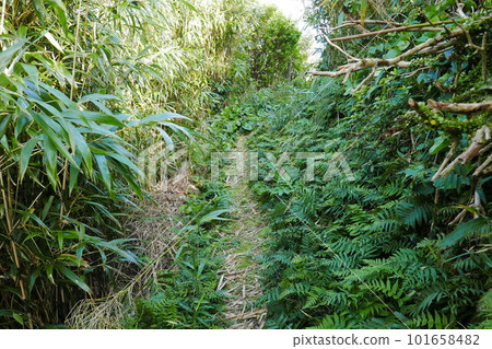 Remote and isolated hidden island Aogashima island in Tokyo, Japan 101658482