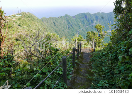 Remote and isolated hidden island Aogashima island in Tokyo, Japan 101658483