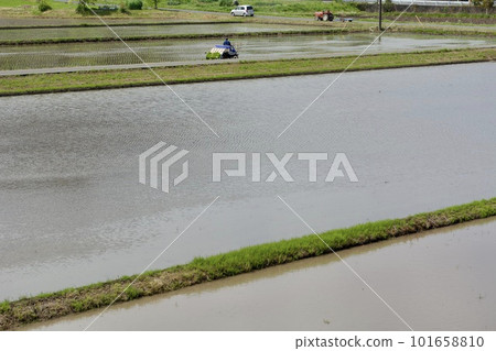 水稻種植季節/水稻種植日本 101658810