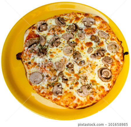Tasty italian pizza with mushrooms nicely served on plate 101658985