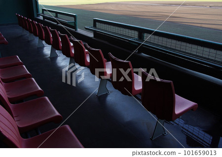 A clean bench before a baseball game 101659013