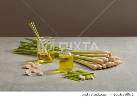 Two glass transparent jars containing essential oil extracted from lemongrass (Cymbopogon citratus) decorated with lemongrass on minimalist background. Healthier skin and hair Two glass transparent jars containing essential oil extracted from lemongrass (Cymbopogon citratus) decorated with lemongrass on minimalist background. Healthier skin and hair 101659061