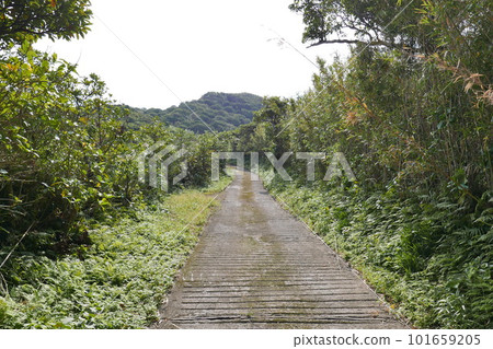Remote and isolated hidden island Aogashima island in Tokyo, Japan 101659205