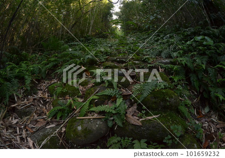Remote and isolated hidden island Aogashima island in Tokyo, Japan 101659232