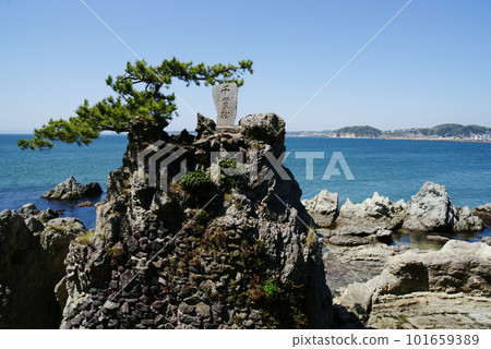 Senganmatsu of Hayama Morito Daimyojin (Morito Shrine) Senganmatsu of Hayama Morito Daimyojin (Morito Shrine) 101659389
