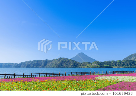 《Kagoshima Prefecture》Lake Ikeda and Mt. Kaimondake 101659423