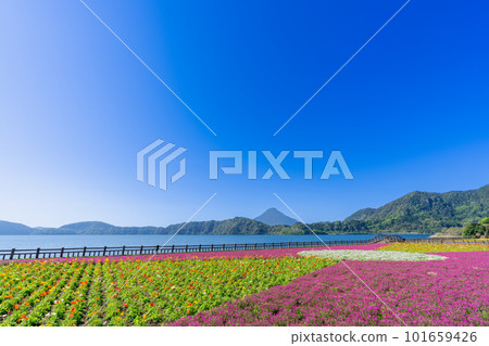 《Kagoshima Prefecture》Lake Ikeda and Mt. Kaimondake 《Kagoshima Prefecture》Lake Ikeda and Mt. Kaimondake 101659426