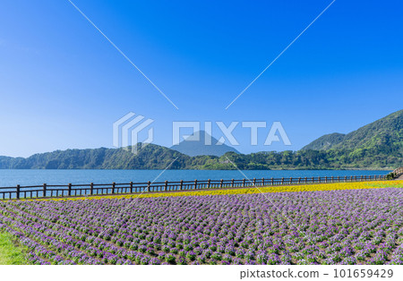 《Kagoshima Prefecture》Lake Ikeda and Mt. Kaimondake 101659429