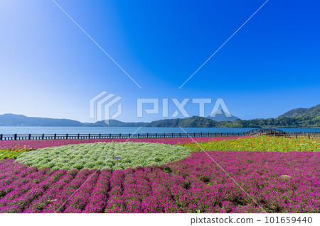 《Kagoshima Prefecture》Lake Ikeda and Mt. Kaimondake 101659440