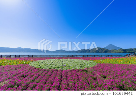 《Kagoshima Prefecture》Lake Ikeda and Mt. Kaimondake 101659441