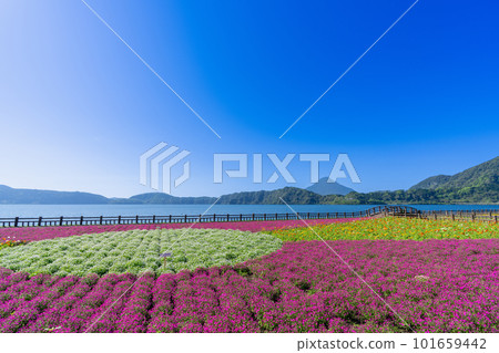 《Kagoshima Prefecture》Lake Ikeda and Mt. Kaimondake 101659442