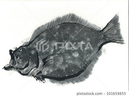 Illustration: Flatfish 101659855
