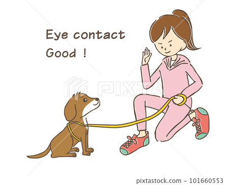 穿著運動服的馬尾辮年輕女性與她的小寵物狗進行眼神交流和訓練 101660553