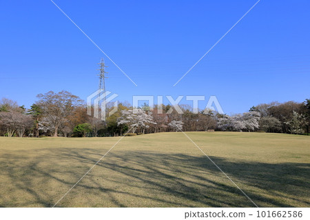 Nasunogahara Park in spring / Nasushiobara City, Tochigi Prefecture Nasunogahara Park in spring / Nasushiobara City, Tochigi Prefecture 101662586