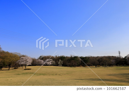 Nasunogahara Park in spring / Nasushiobara City, Tochigi Prefecture 101662587