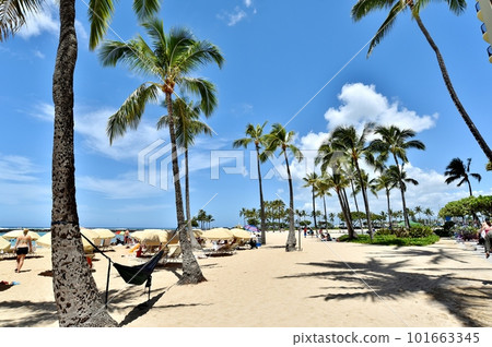 海景 海景 101663345