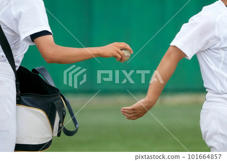 The hand of the coach before hitting the knock that is handed the ball by the player during the seat knock before the baseball game The hand of the coach before hitting the knock that is handed the ball by the player during the seat knock before the baseball game 101664857