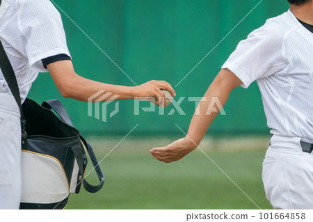 The hand of the coach before hitting the knock that is handed the ball by the player during the seat knock before the baseball game 101664858