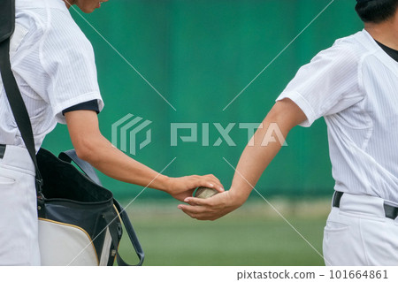 The hand of the coach before hitting the knock that is handed the ball by the player during the seat knock before the baseball game The hand of the coach before hitting the knock that is handed the ball by the player during the seat knock before the baseball game 101664861