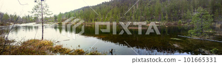 Norway forest and river panorama 101665331